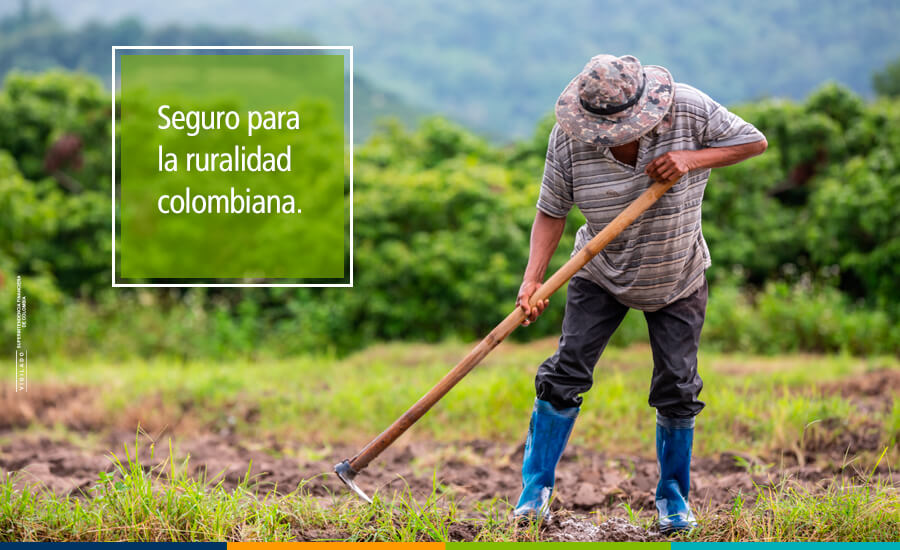 Le apostamos al sector rural con el apoyo de Banca de las Oportunidades